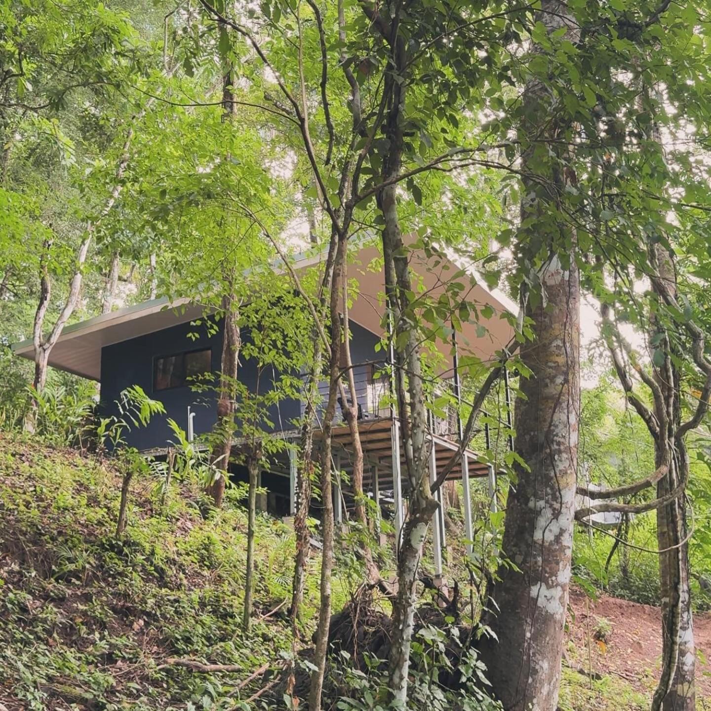 Apartment Deer Cabuya