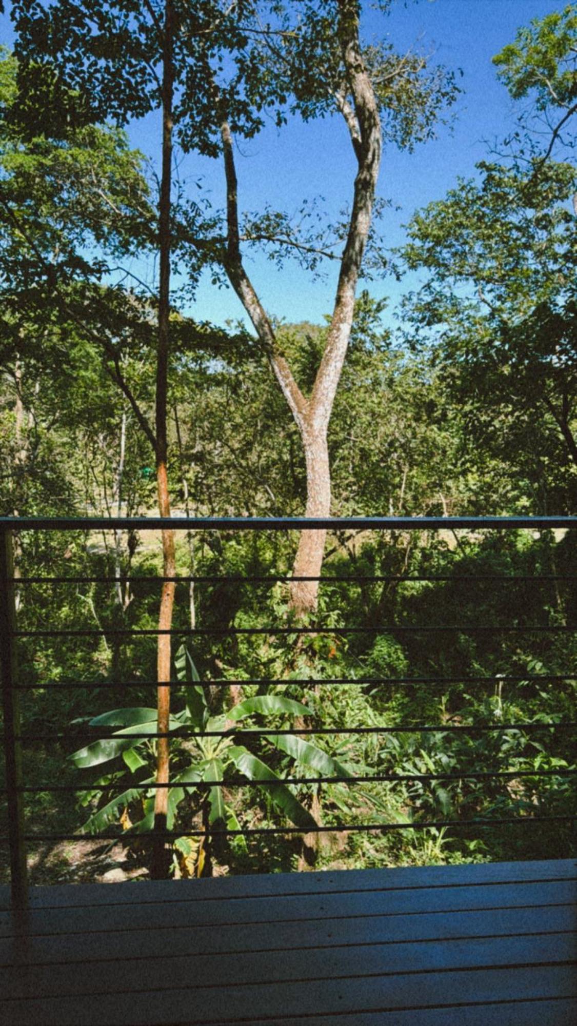 Deer Cabuya Apartment