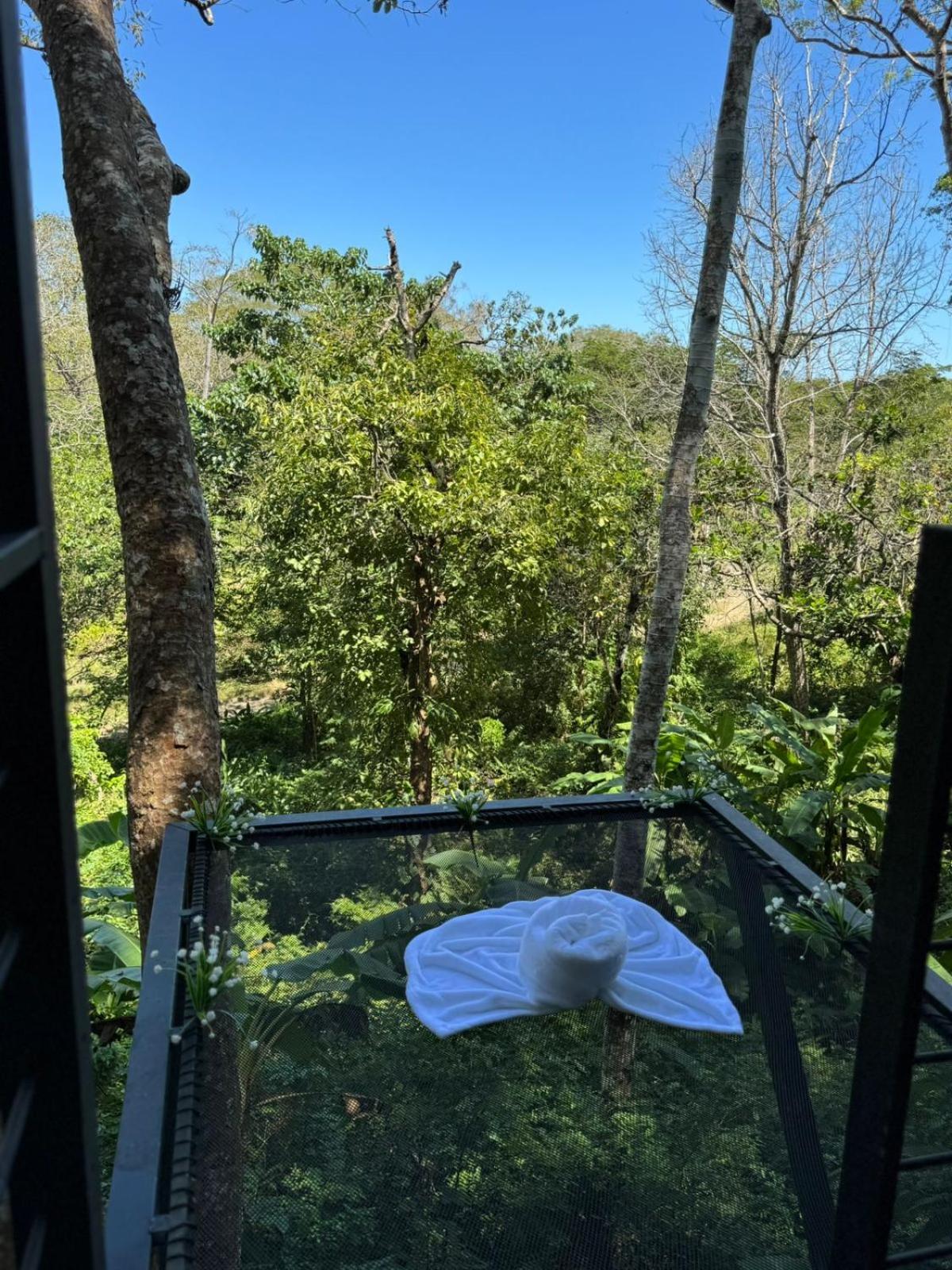 Deer Cabuya Apartment