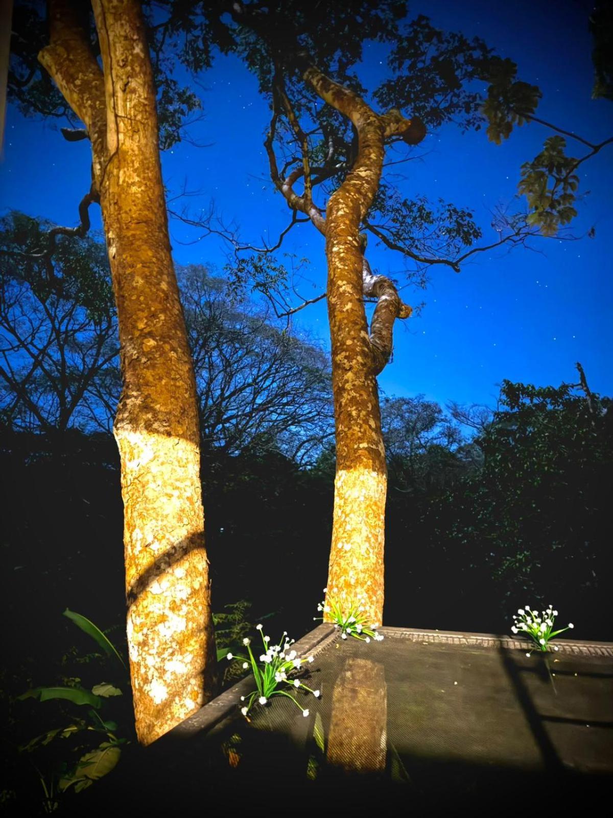 Deer Cabuya Apartment *